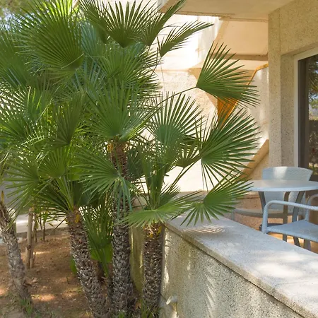 Massol * 포엔샤 항구