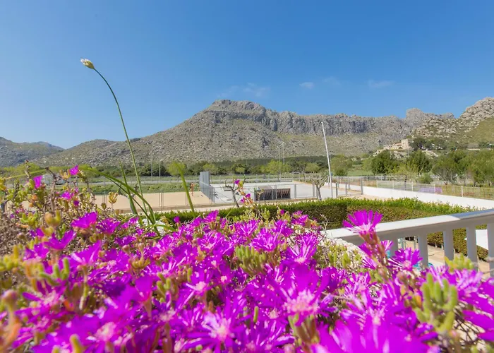 Massol Διαμέρισμα